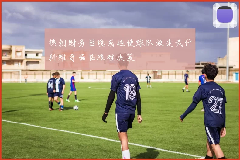 热刺财务困境或迫使球队放走武什科维奇面临艰难决策