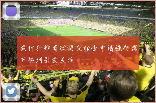 武什科维奇欲提交转会申请强行离开热刺引发关注