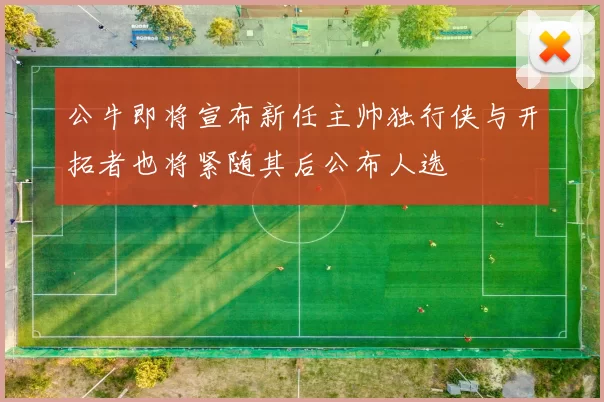 公牛即将宣布新任主帅独行侠与开拓者也将紧随其后公布人选